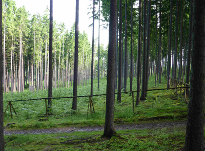 Obrázek 2