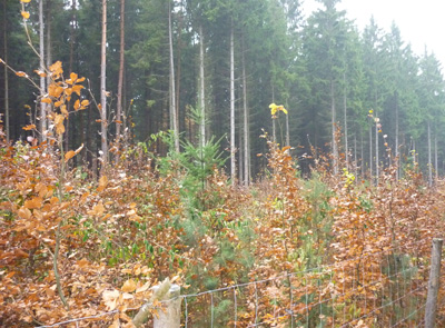 Obrázek 3